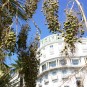 fotografii cannes