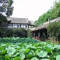 fotografii chengdu-templul-wuhou