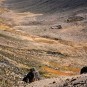 fotografii colca-canyon-canon-del-colca