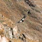 fotografii colca-canyon-canon-del-colca