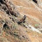 fotografii colca-canyon-canon-del-colca
