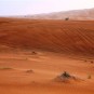 fotografii dune-in-desert-in-peninsula-arabiei