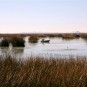 fotografii lacul-titicaca