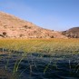 fotografii lacul-titicaca