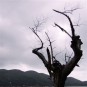 fotografii lantau