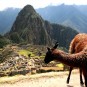 fotografii machu-pichu