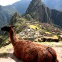 fotografii machu-pichu