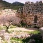 fotografii mycenae