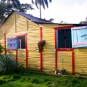 fotografii plantatii-in-rep-dominicana