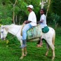 fotografii plantatii-in-rep-dominicana