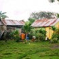 fotografii plantatii-in-rep-dominicana