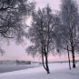 fotografii rovaniemi