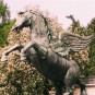 fotografii salzburg