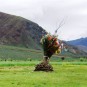 fotografii tibet-peisaje