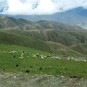 fotografii tibet-peisaje