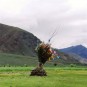 fotografii tibet-peisaje
