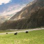 fotografii tibet-peisaje