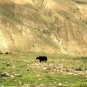 fotografii tibet-peisaje
